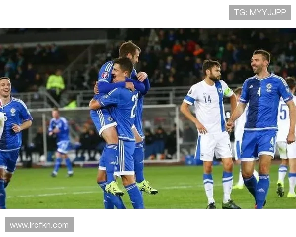 芬兰对阵爱尔兰精彩视频直播全程回放与赛后分析