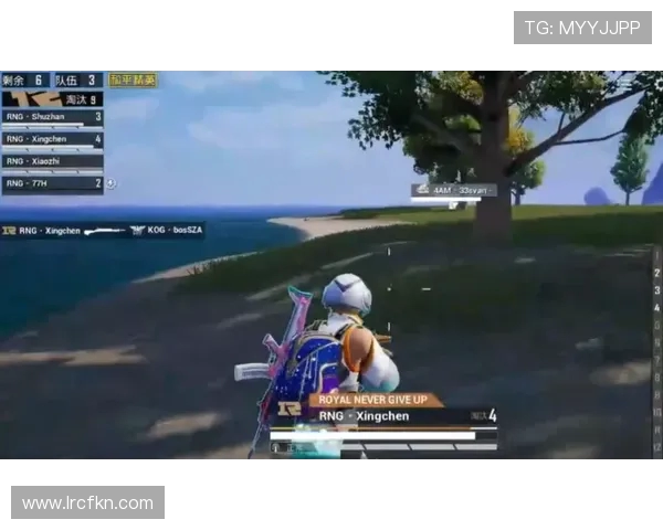 和平精英耐力排行榜揭晓RNG战队荣登第六名引发热议